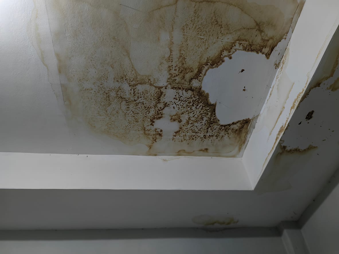 Where Do Hidden Water Leaks Commonly Occur?